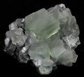 Stunning, Lustrous, Green Fluorite Cluster - China (Special Price #32420-2